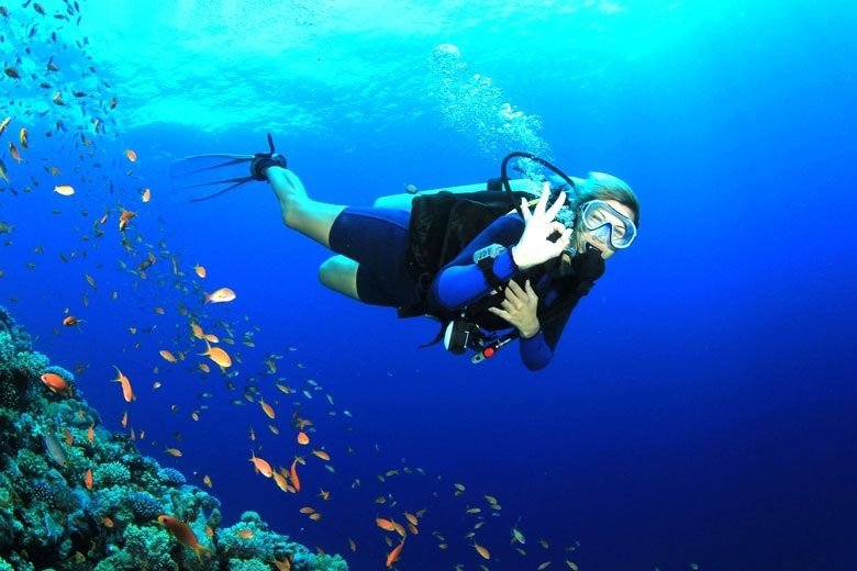 Sea Safari