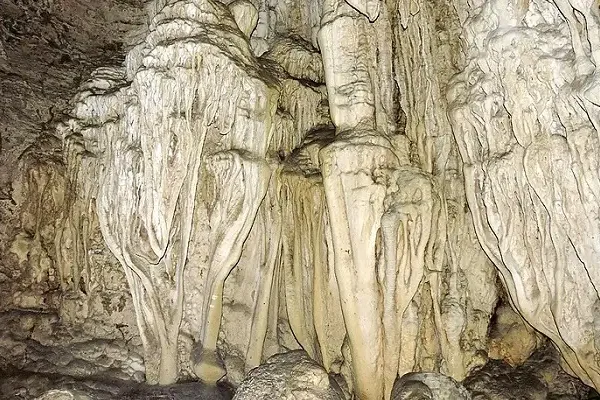 Alfred Caves