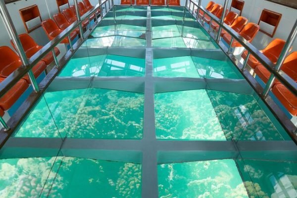 Glass-Bottom Boat