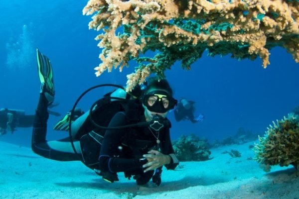 Underwater Wonders