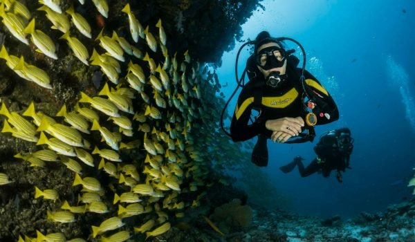 underwater Adventures